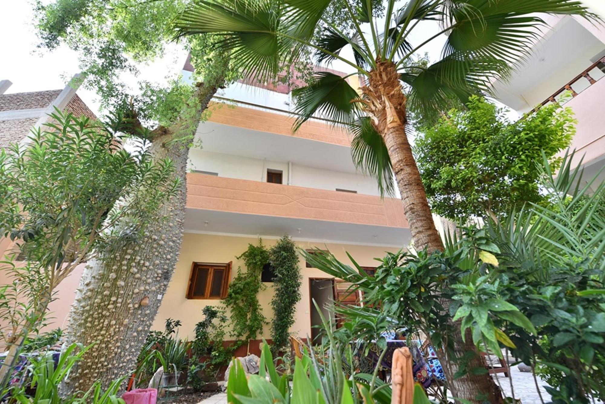 Amon Hotel Luxor Exterior photo