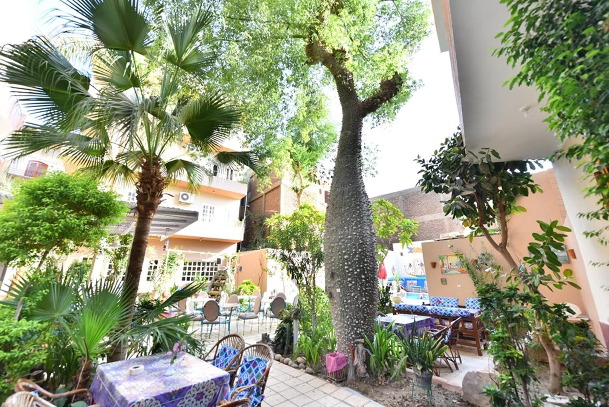 Amon Hotel Luxor Exterior photo