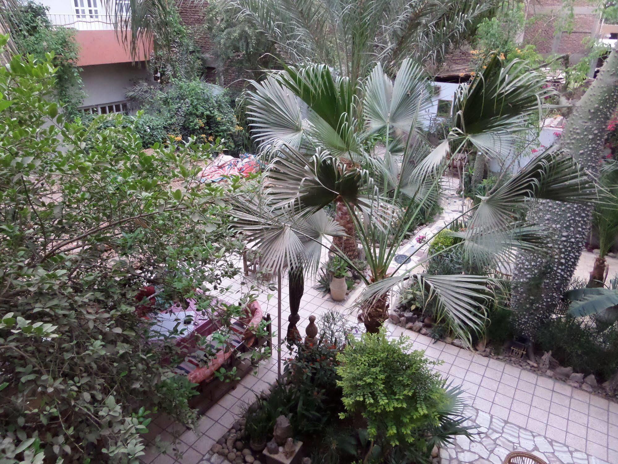 Amon Hotel Luxor Exterior photo