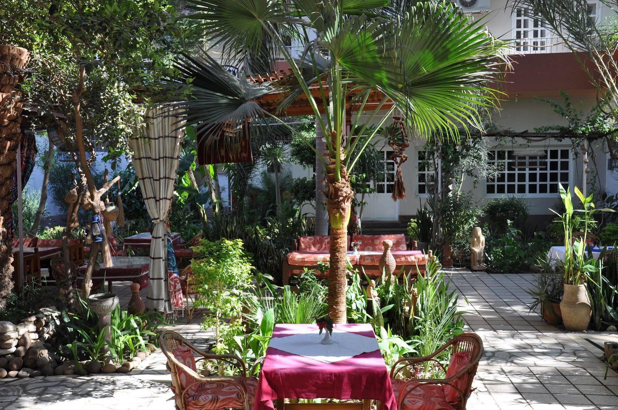 Amon Hotel Luxor Exterior photo